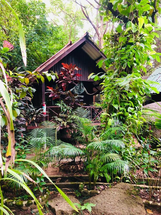 Bambu Huts Hotel Baan Tai Luaran gambar