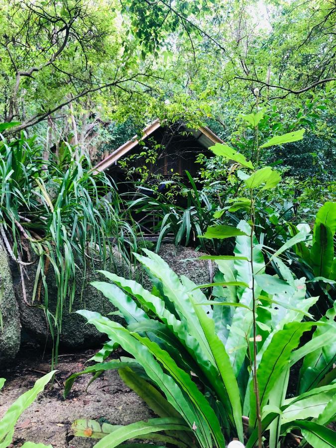 Bambu Huts Hotel Baan Tai Luaran gambar