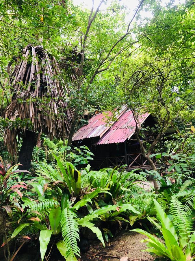 Bambu Huts Hotel Baan Tai Luaran gambar